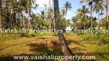  Residential Plot for Sale in Calicut, Kozhikode