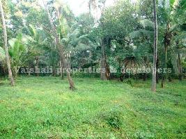  Residential Plot for Sale in Karaparamba, Kozhikode