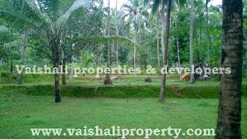  Residential Plot for Sale in Nanminda, Kozhikode