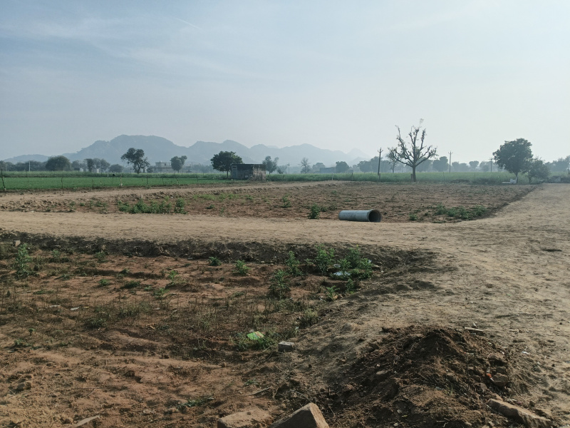  900 Sq.ft. Residential Plot for Sale in Keshwana, Behror