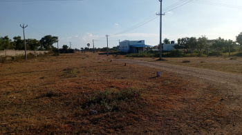  Residential Plot for Sale in Vennampatti, Dharmapuri