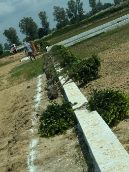  Residential Plot for Sale in Hata, Kushinagar