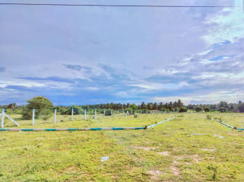  Residential Plot for Sale in Kinathukadavu, Coimbatore