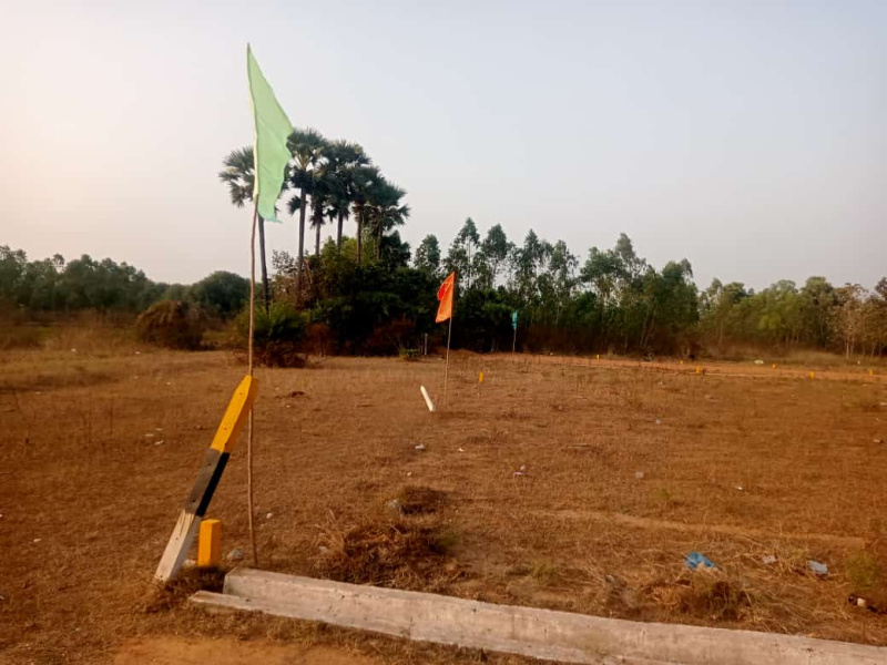  Residential Plot 15 Sq. Yards for Sale in Sabbavaram, Visakhapatnam