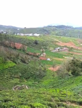  Agricultural Land for Sale in Kathadimattam, Ooty