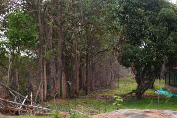  Agricultural Land for Sale in Kanakapura, Bangalore