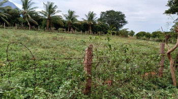  Agricultural Land for Sale in Rajapalayam, Virudhunagar