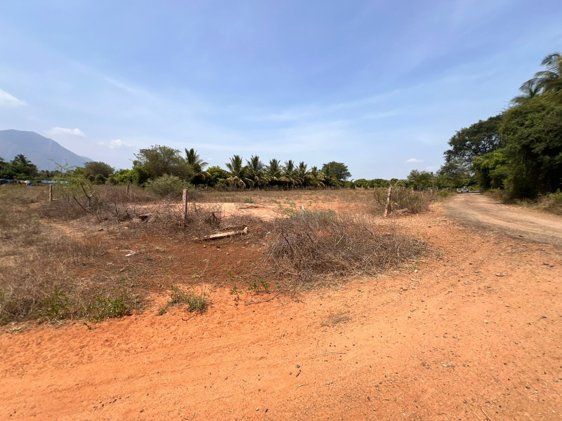  Agricultural Land 118 Cent for Sale in Rajapalayam, Virudhunagar