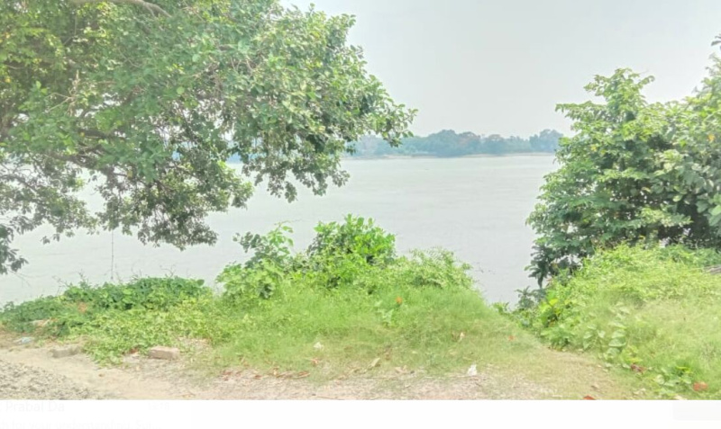  Residential Plot 3 Acre for Sale in Podara, Howrah