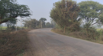  Agricultural Land for Sale in Ghatampur, Kanpur