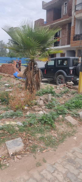  100 Sq. Yards Residential Plot for Sale in Zirakpur, Panchkula