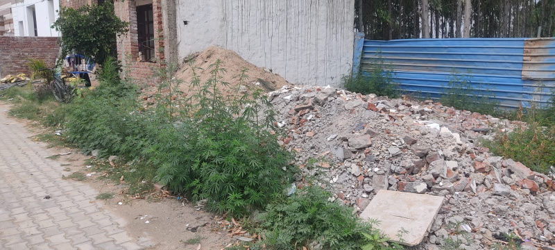  100 Sq. Yards Residential Plot for Sale in Zirakpur, Panchkula