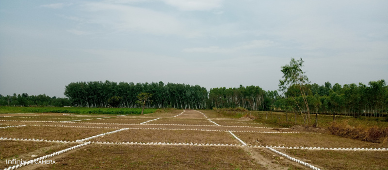 250 Sq. Yards Residential Plot for Sale in Behat, Saharanpur