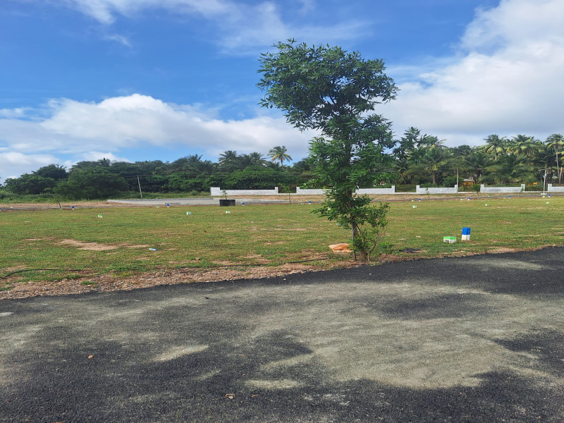  Residential Plot 1500 Sq.ft. for Sale in Kinathukadavu, Coimbatore