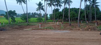  Residential Plot for Sale in Alanganallur, Madurai