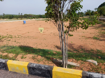  Residential Plot for Sale in Shankarampet, Medak