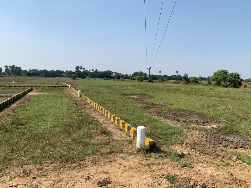  Residential Plot 1361 Sq.ft. for Sale in Bihta, Patna