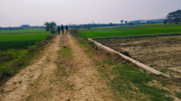 Residential Plot for Sale in Fatwah, Patna