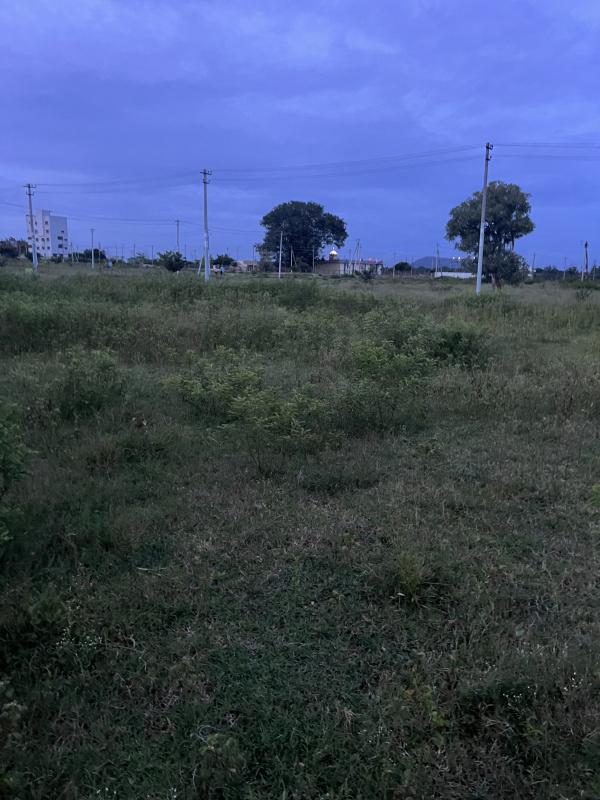  Residential Plot 1500 Sq.ft. for Sale in RT Nagar, Mysore