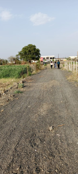  Agricultural Land 3500 Sq.ft. for Sale in Sanwer, Indore