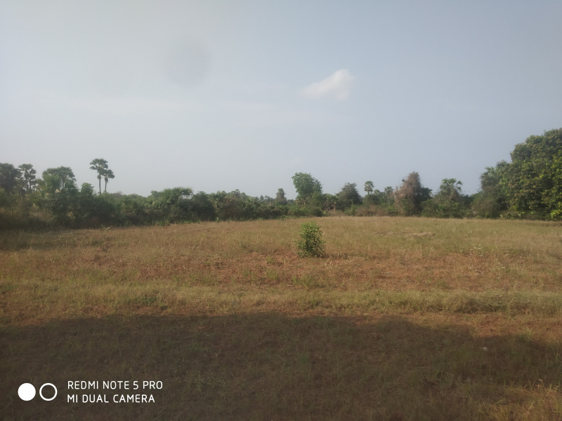  Agricultural Land 2419 Sq. Yards for Sale in Samalkota, East Godavari