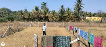  Residential Plot for Sale in Chinnamanur, Theni