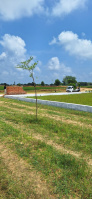 Residential Plot for Sale in Sukrauli, Kushinagar