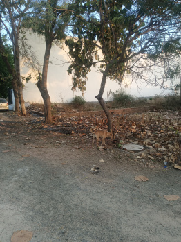  Residential Plot for Sale in New Moradabad