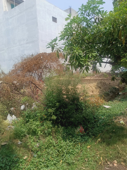  Residential Plot for Sale in New Moradabad