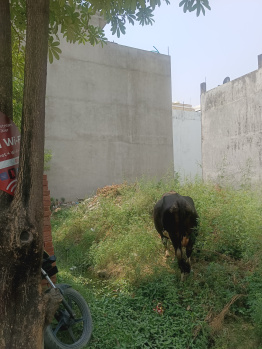  Residential Plot for Sale in New Moradabad