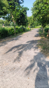  Residential Plot for Sale in New Moradabad