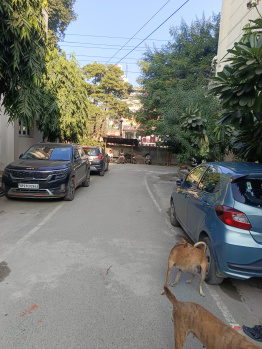  Residential Plot for Sale in New Moradabad