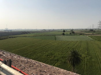  Agricultural Land for Sale in Dasna, Ghaziabad