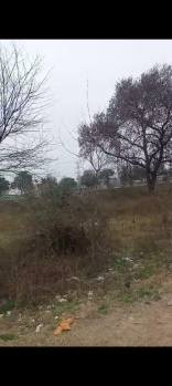  Residential Plot for Sale in Sector 6 Jhajjar