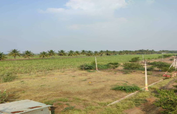  Residential Plot for Sale in Jamkhandi, Bagalkot