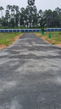  Residential Plot for Sale in Sayapuram, Tiruchirappalli