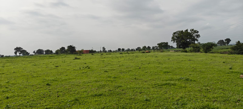  Agricultural Land 3000 Sq.ft. for Sale in Khandwa Road, Indore