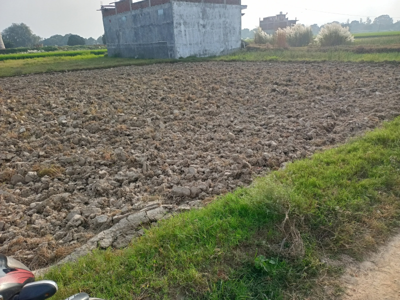  Residential Plot 1500 Sq.ft. for Sale in Belaisa, Azamgarh