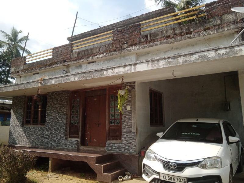 3 BHK House 950 Sq.ft. for Sale in Thenkurissi, Palakkad