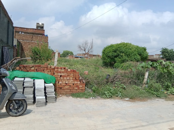  Residential Plot for Sale in Mandi Dabwali, Sirsa