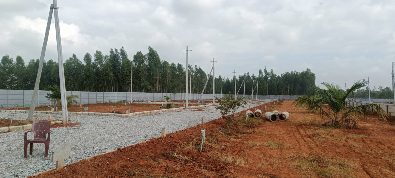  Residential Plot 1200 Sq.ft. for Sale in Anekal, Bangalore