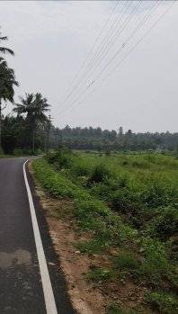  Agricultural Land for Sale in Pollachi, Coimbatore