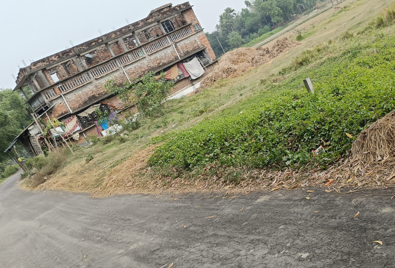  Agricultural Land 26 Katha for Sale in Mathurapur, South 24 Parganas