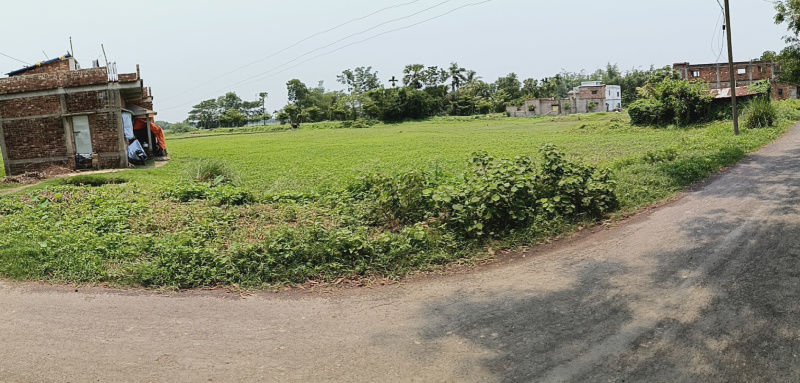  Agricultural Land 26 Katha for Sale in Mathurapur, South 24 Parganas