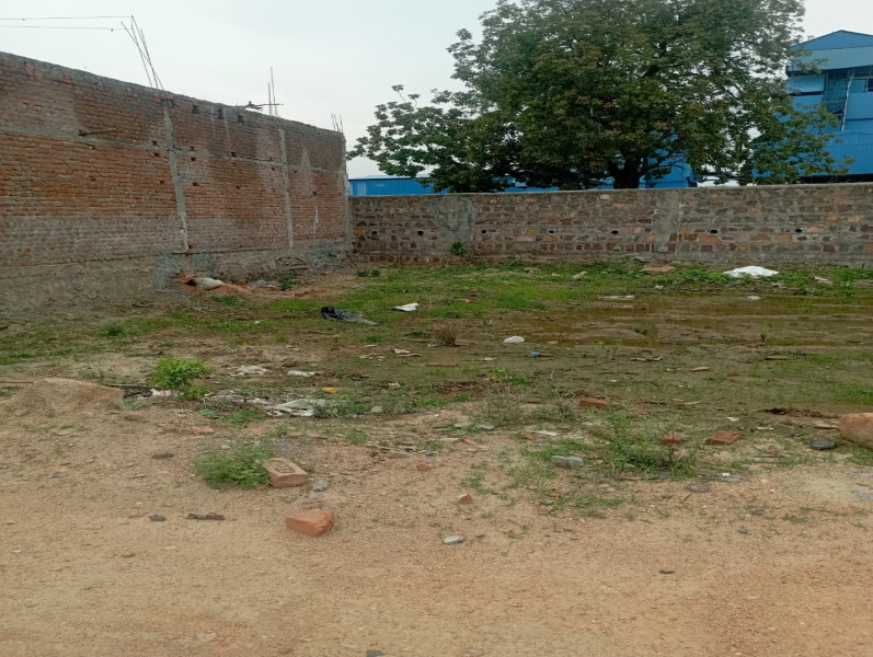  Residential Plot 1000 Sq.ft. for Sale in Orchha, Niwari