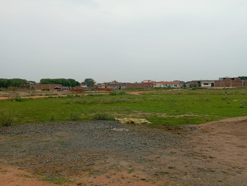  Residential Plot 1000 Sq.ft. for Sale in Orchha, Niwari