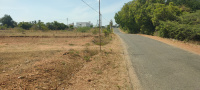 Agricultural Land for Sale in Annur, Coimbatore