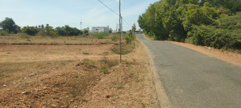  Agricultural Land for Sale in Annur, Coimbatore