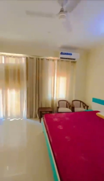 1 BHK 580 Sq.ft. Apartment for Rent in Noida Extension, Greater Noida