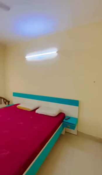 1 BHK 580 Sq.ft. Apartment for Rent in Noida Extension, Greater Noida